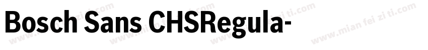 Bosch Sans CHSRegula字体转换